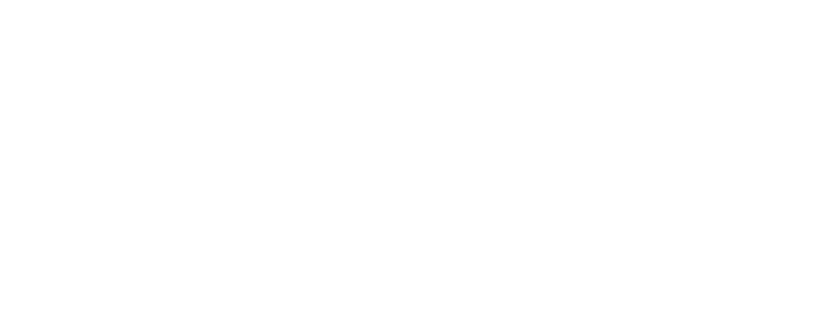 Oracle Automotive Sales LLC